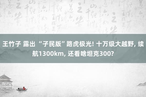 王竹子 露出 “子民版”路虎极光! 十万级大越野， 续航1300km， 还看啥坦克300?