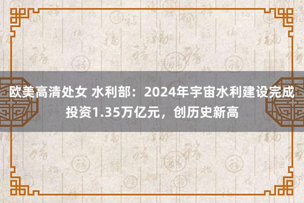 欧美高清处女 水利部：2024年宇宙水利建设完成投资1.35万亿元，创历史新高