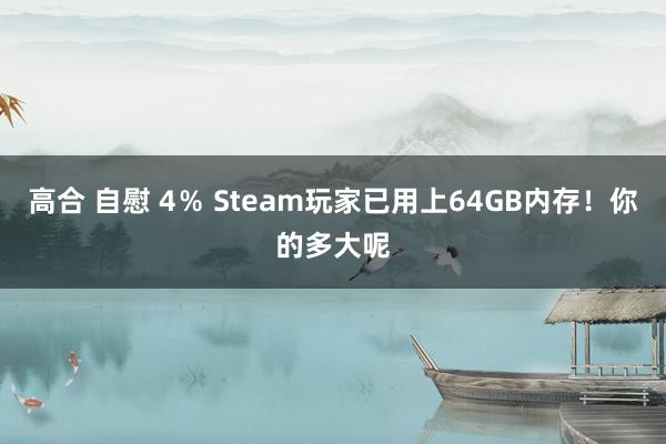 高合 自慰 4％ Steam玩家已用上64GB内存！你的多大呢