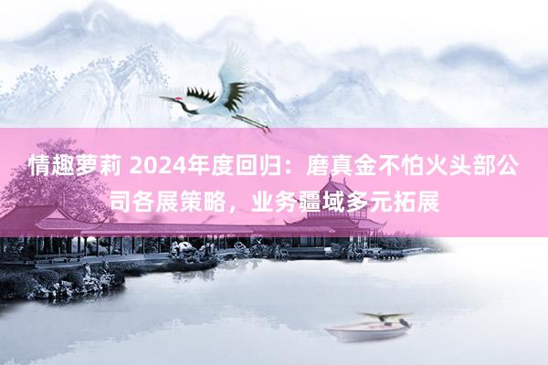 情趣萝莉 2024年度回归：磨真金不怕火头部公司各展策略，业务疆域多元拓展