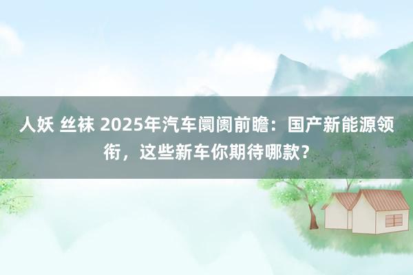 人妖 丝袜 2025年汽车阛阓前瞻：国产新能源领衔，这些新车你期待哪款？