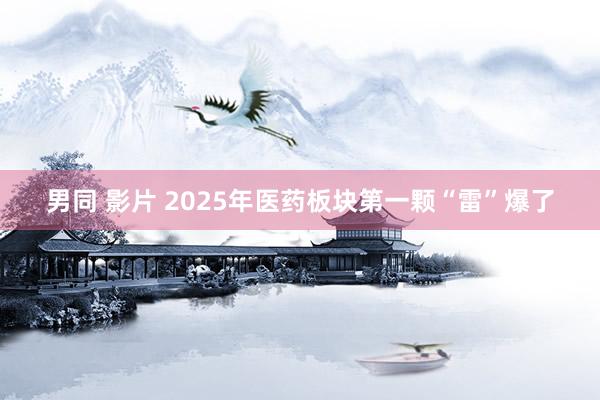 男同 影片 2025年医药板块第一颗“雷”爆了