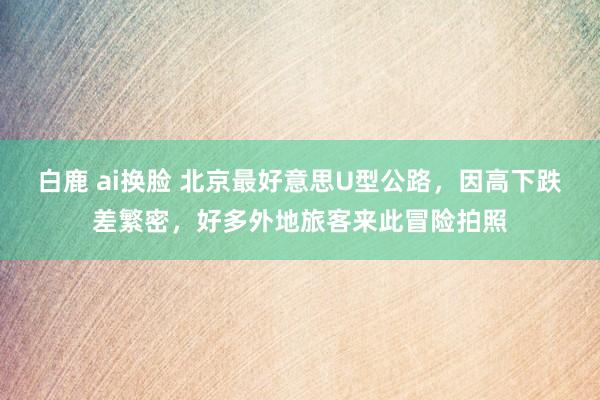 白鹿 ai换脸 北京最好意思U型公路，因高下跌差繁密，好多外地旅客来此冒险拍照