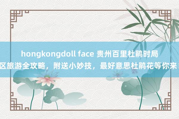 hongkongdoll face 贵州百里杜鹃时局区旅游全攻略，附送小妙技，最好意思杜鹃花等你来！