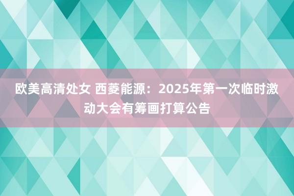 欧美高清处女 西菱能源：2025年第一次临时激动大会有筹画打算公告